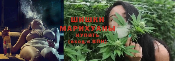 ГАЛЛЮЦИНОГЕННЫЕ ГРИБЫ Алзамай