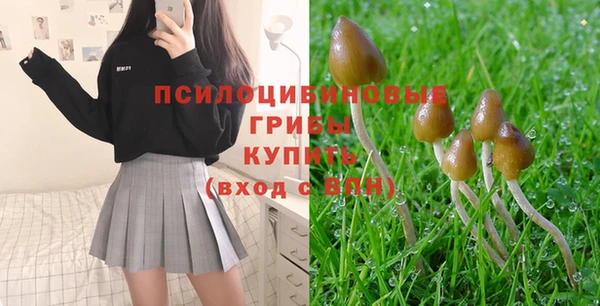 ГАЛЛЮЦИНОГЕННЫЕ ГРИБЫ Алзамай