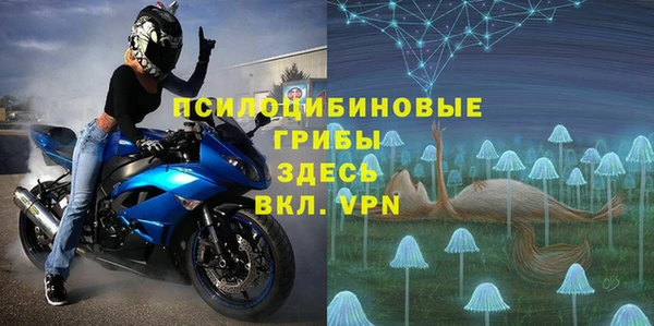 ГАЛЛЮЦИНОГЕННЫЕ ГРИБЫ Алзамай
