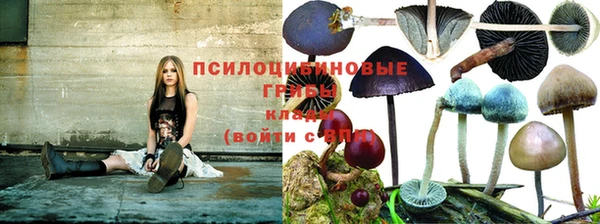 спиды Алексин