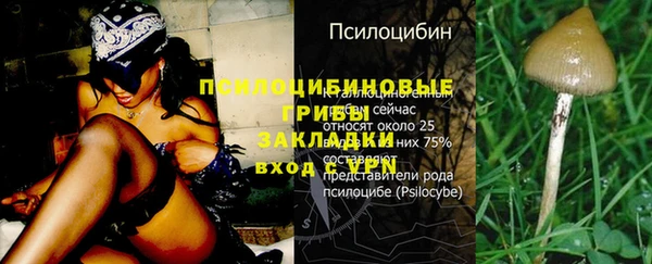 ГАЛЛЮЦИНОГЕННЫЕ ГРИБЫ Алзамай
