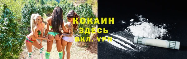 ГАЛЛЮЦИНОГЕННЫЕ ГРИБЫ Алзамай