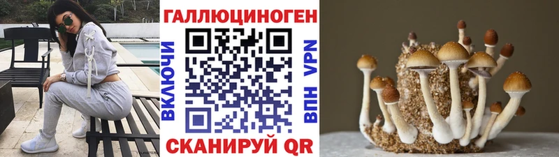 Галлюциногенные грибы Cubensis  где найти наркотики  darknet какой сайт  Когалым 